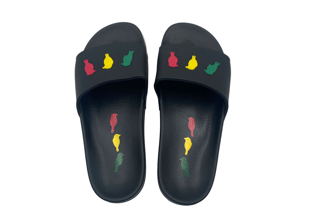 3 Little Birds Slides