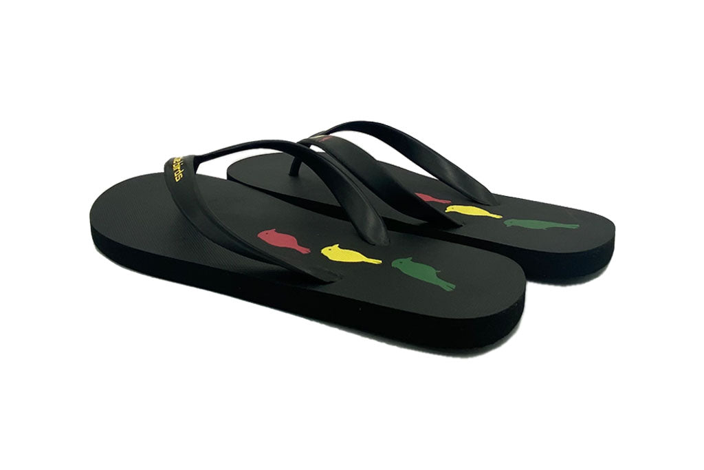 Flip Flops 3 Little Birds