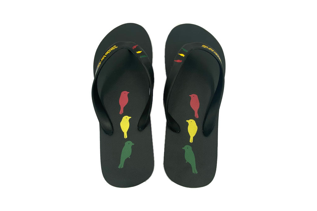 Flip Flops 3 Little Birds